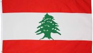 أبرز 4 أفكار مشاريع صغيرة مربحة في لبنان