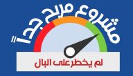 أبرز أفكار مشاريع لم تخطر على البال
