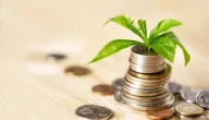 دراسة جدوى مشروع مربح جدا برأس مال 10000